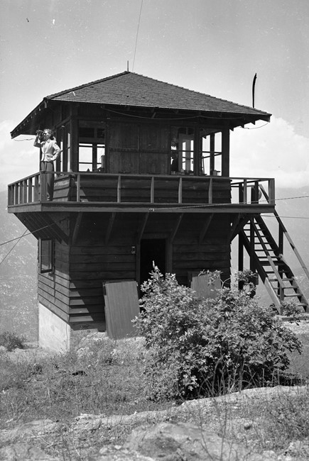 Rose Vaughn on the original lookout structure