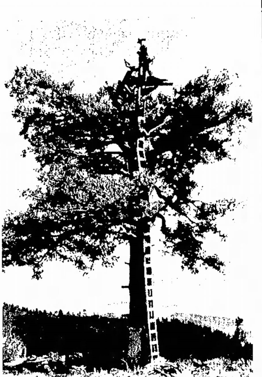 Photo from Las Cruces Sun News article on May 9, 1976