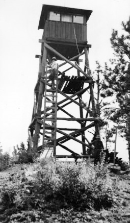 U.S. Forest Service photo