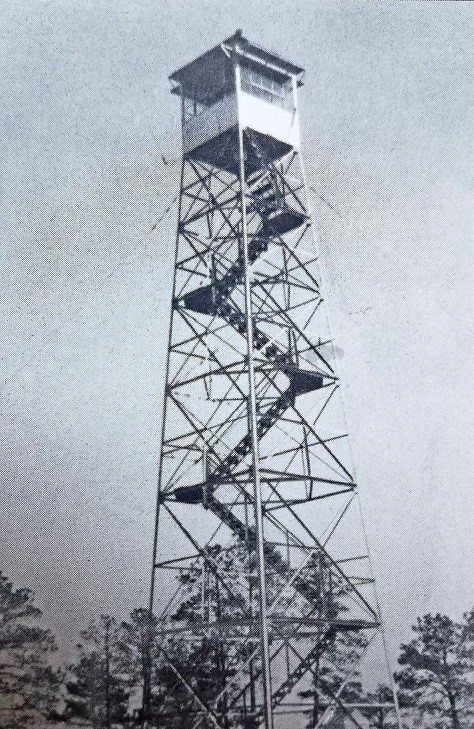 U.S. Forest Service photo